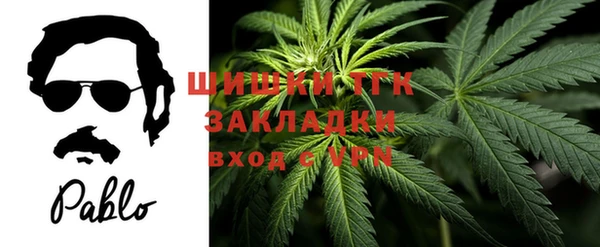 эйфоретик Горнозаводск