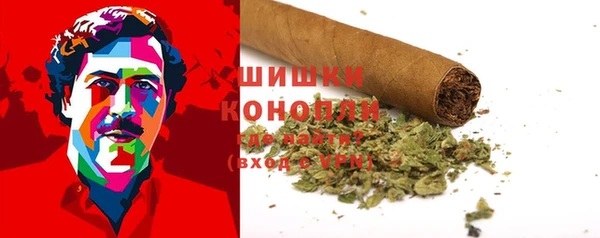 винт Гусь-Хрустальный