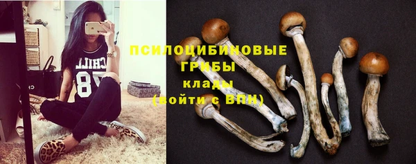 ешки Гусев